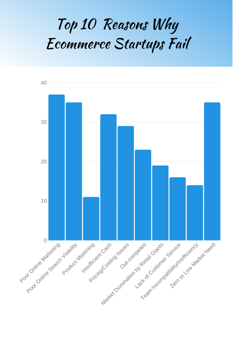 top-10-reasons-why-ecommerce-startups-fail